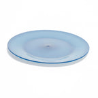 Deluxe Plastic Plate