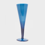 Deluxe Plastic Champagne Flute