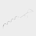 Dog Tether