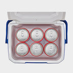 5QT Performance 6 Personal Cooler