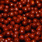 Source Shelf Life 18mm 1Kg