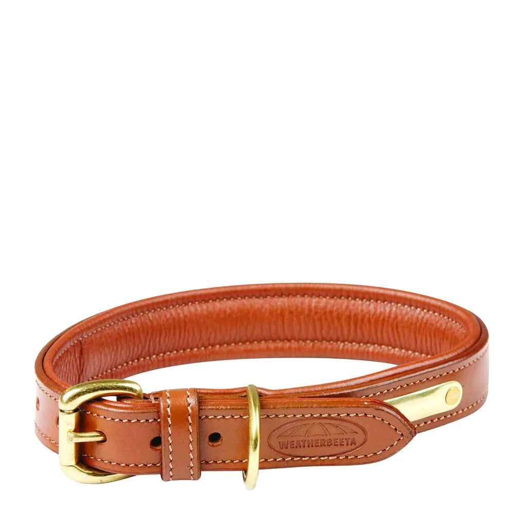 Padded Leather Dog collar