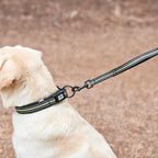 Reflective Dog Collar Extra Large