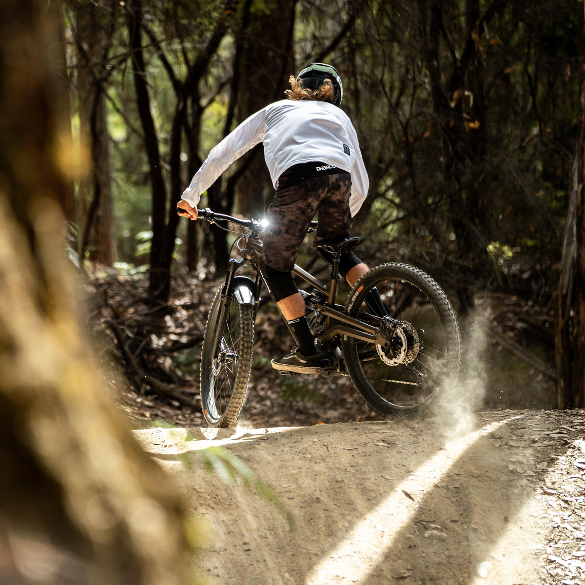 Collosus N8E E-Bike