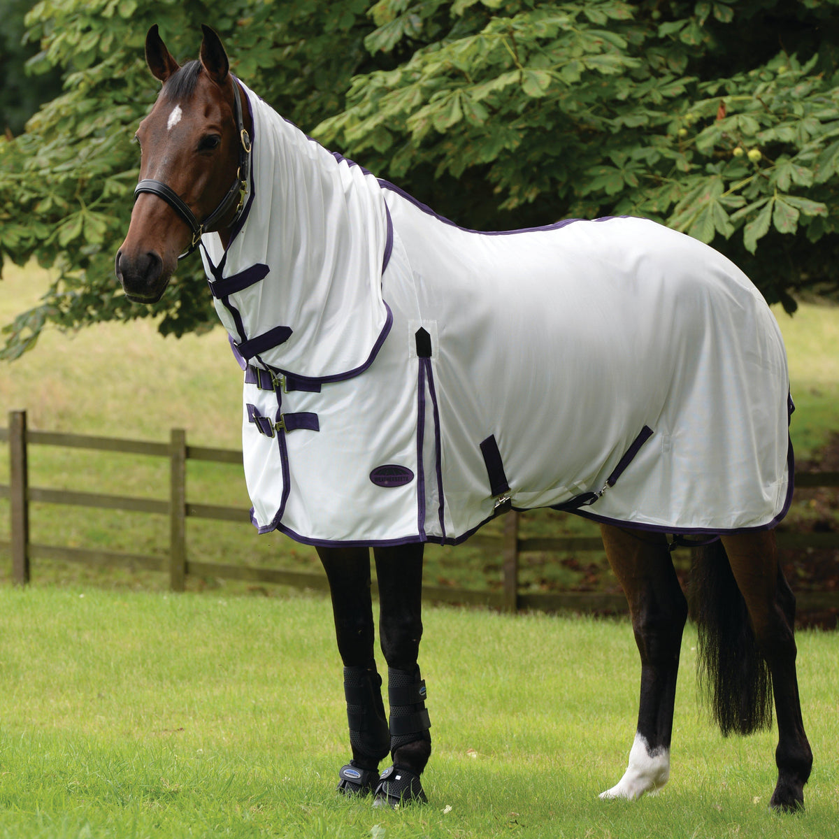 ComFiTec Essential Mesh Combo Neck Rug
