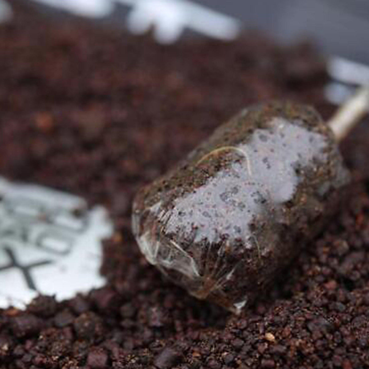 Bloodworm Spod and Bag Mix