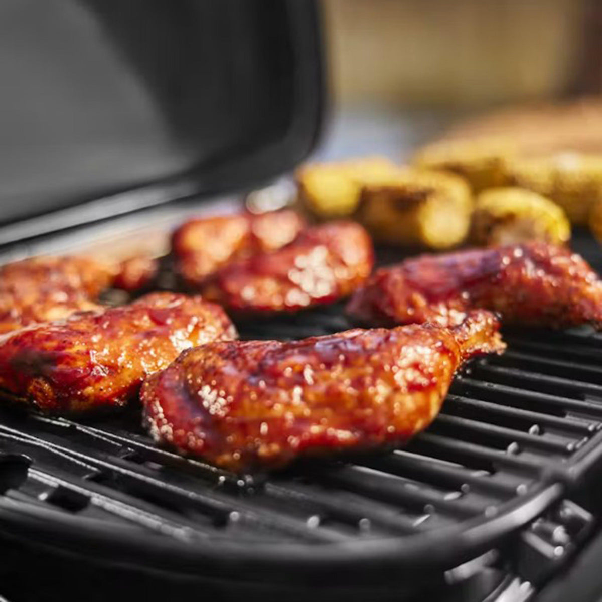 Traveler® Compact Gas Barbecue