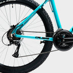 Saw Mountain Bike