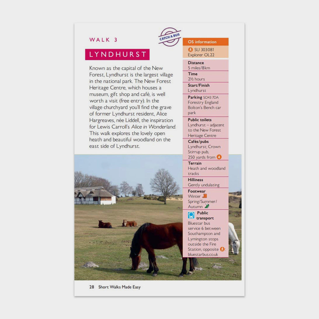 Short Walks Made Easy – New Forest