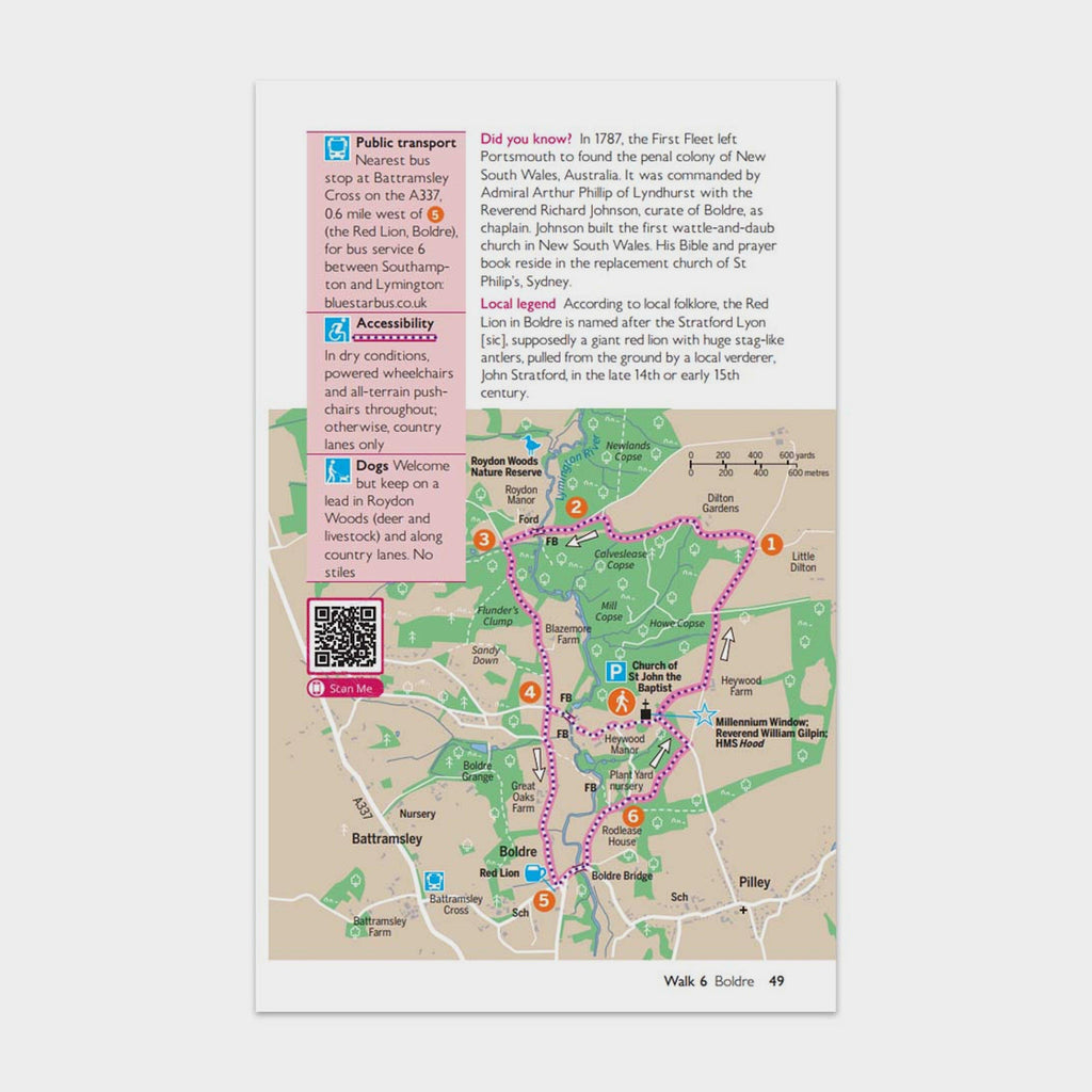 Short Walks Made Easy – New Forest
