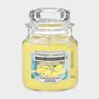 Lemon Lime Popsicle Small Jar