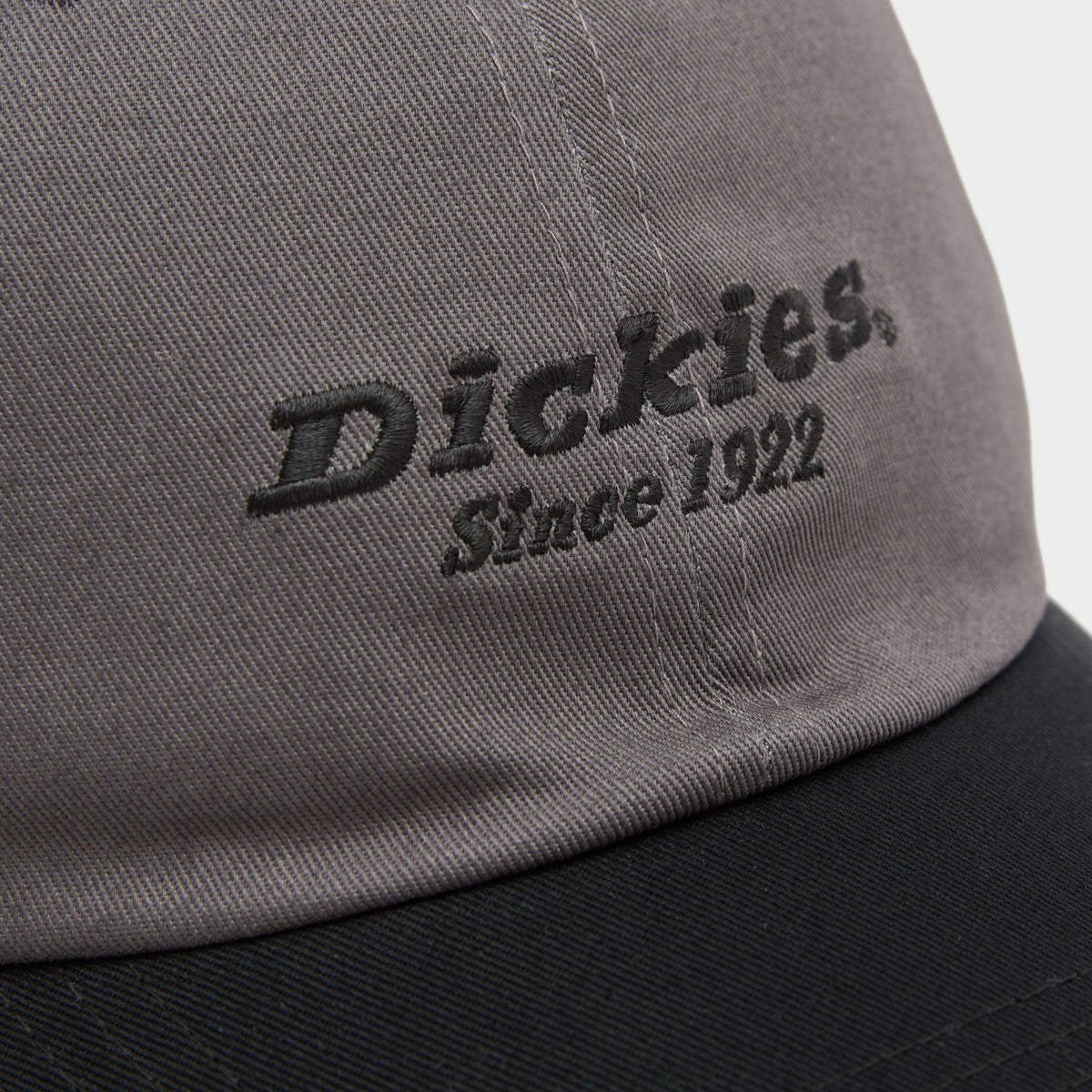 Unisex Everyday Twill Cotton Cap