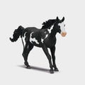Paint Horse Gelding