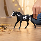 Paint Horse Gelding