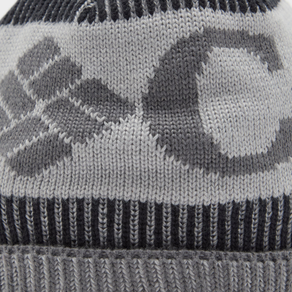 Men's Polar Powder III Beanie