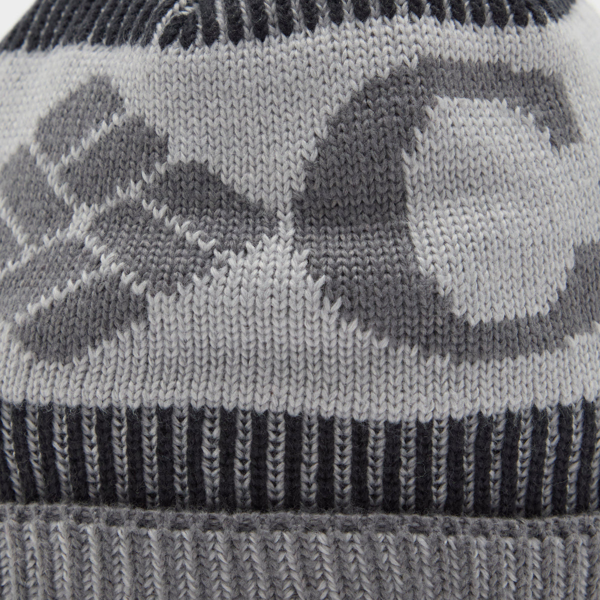 Men's Polar Powder III Beanie