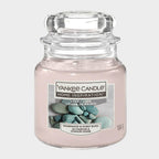 Stony Cove Small Jar