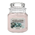 Stony Cove Small Jar