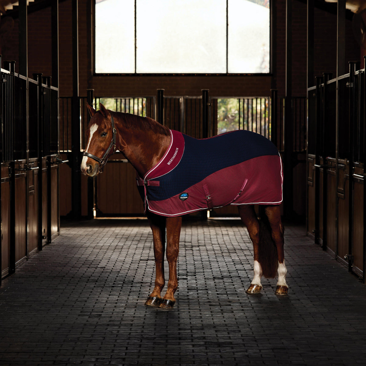 Thermo-Air Cooler Standard Neck