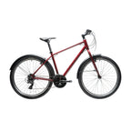 Curb Hybrid Bike
