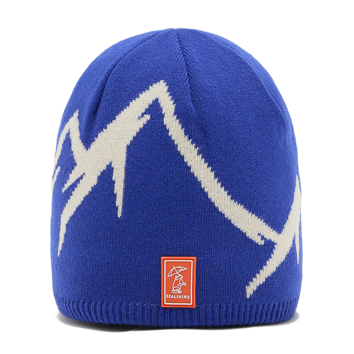 Barton  Kid's Waterproof Cold Weather Beanie