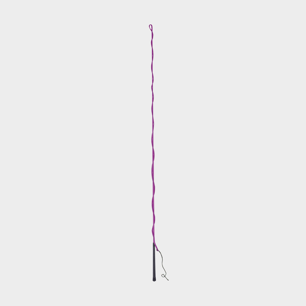 Brights Lunge Whip
