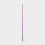 Brights Lunge Whip