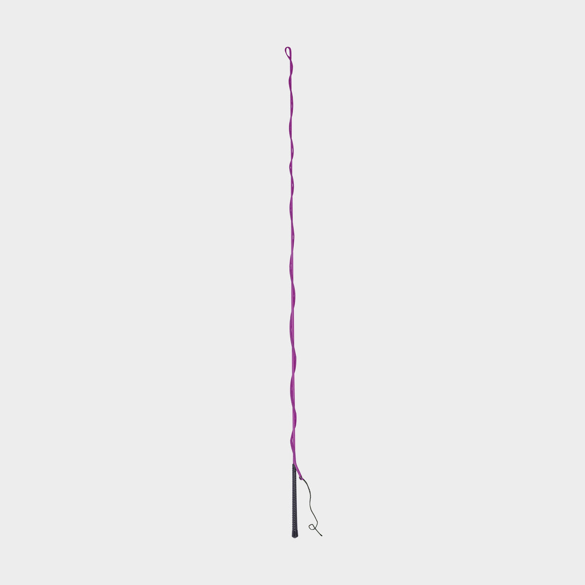 Brights Lunge Whip