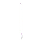 Brights Lunge Whip