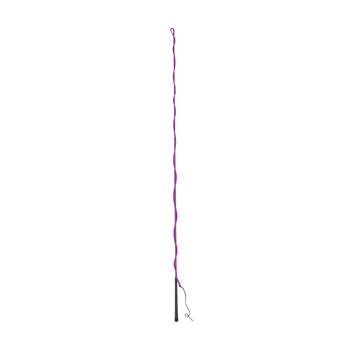 Brights Lunge Whip