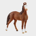 Marwari Mare