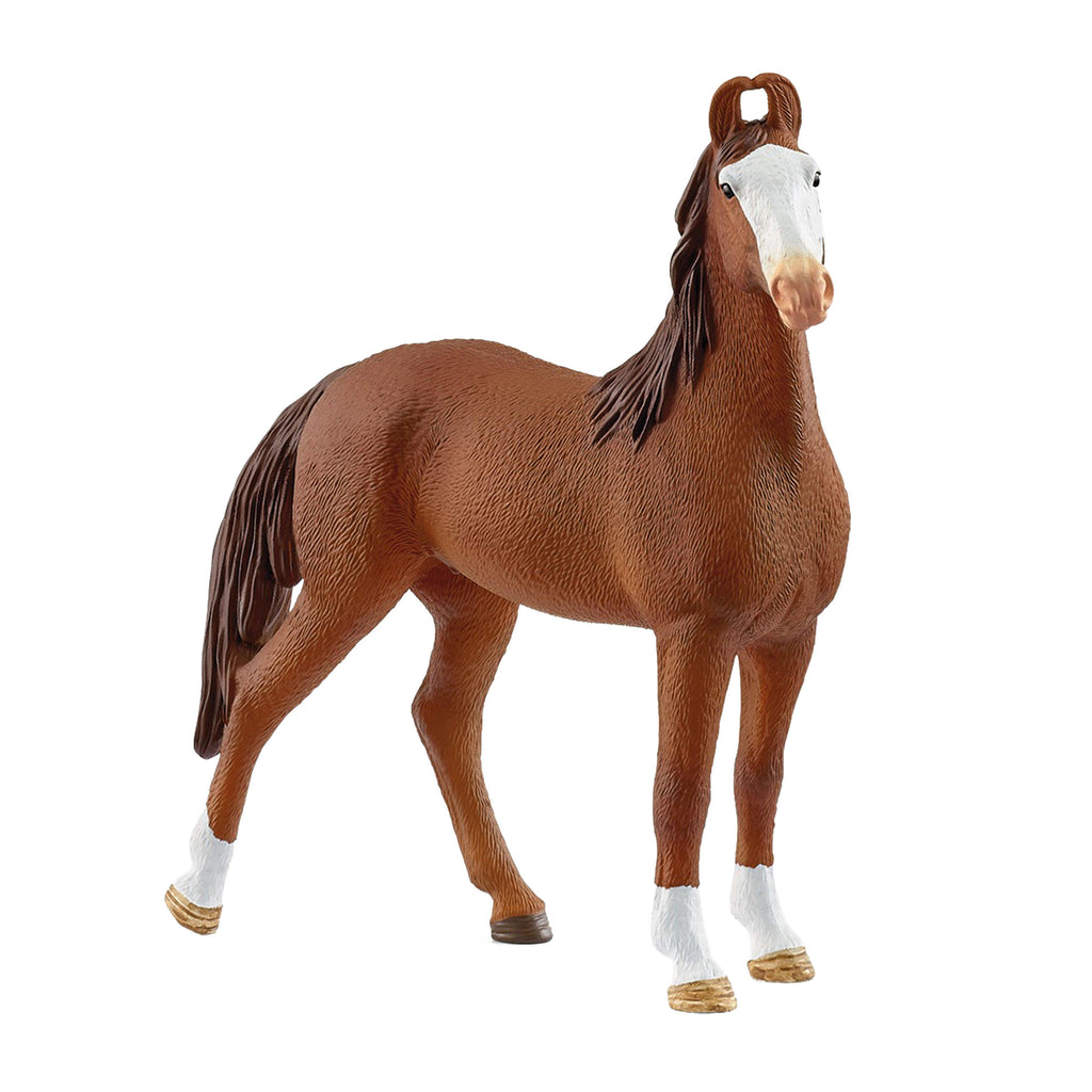 Marwari Mare
