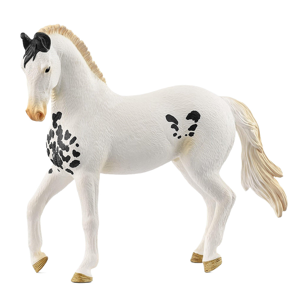 Mawari Stallion