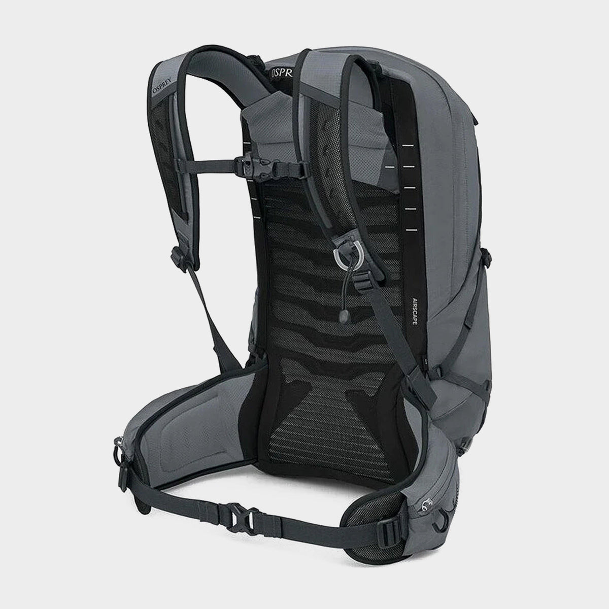 Talon 22L Daypack