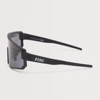 P005 Sunglasses