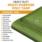 Green Poly Tarp 10' x 20' - Case of  5