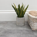 SISU Grey Limestone Click Vinyl Flooring Tiles - 305mm x 610mm (10 Pack) - EnviroBuild