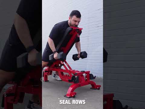 FIDAB-101 Flat/Incline Bench