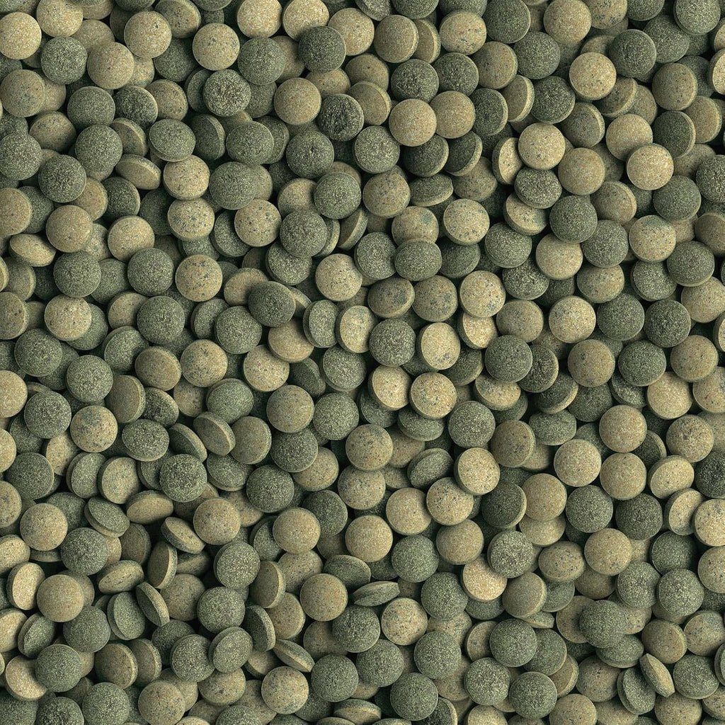Tetra Plecomin Bottom Feeding Fish Food 120 Tablets