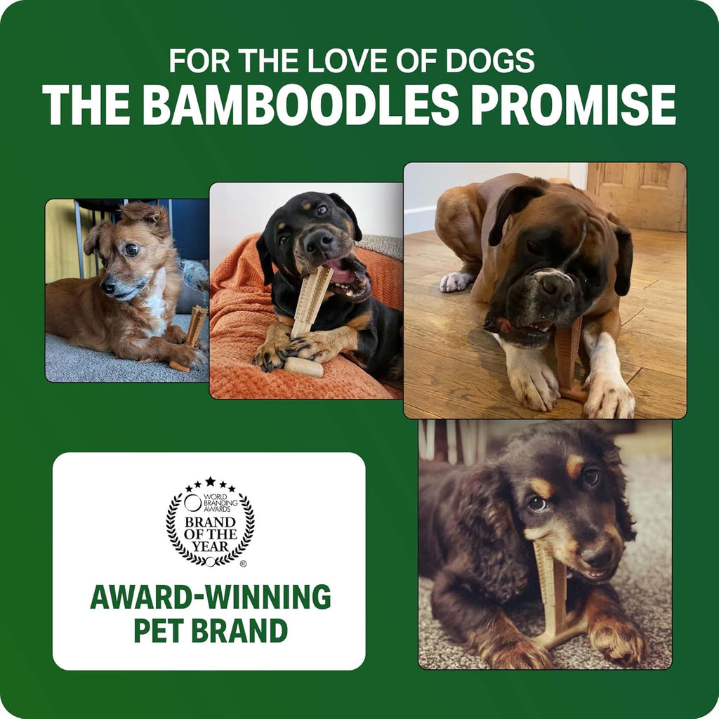 Bamboodles Chew Toys Infusion Medium Cheese