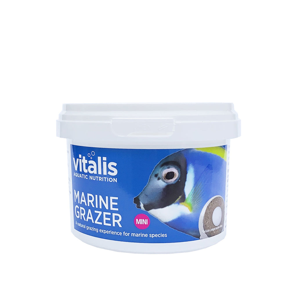Vitalis Platinum Marine Mini Grazer Rings