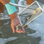 Tsunami Sand Flea Rake (OVER SIZE SHIPPING MAY APPLY)