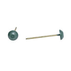Corrugated Bitumen Fixing Nails Green 65mm x 20mm (Pack of 50)