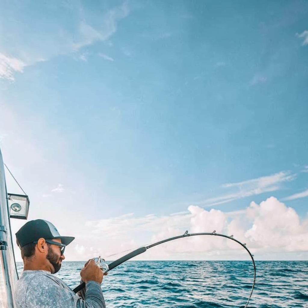Shimano Terez Offshore Spinning Rods