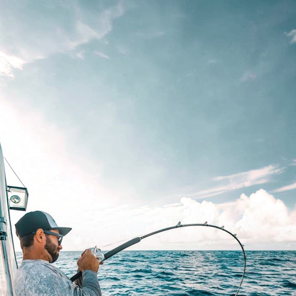 Shimano Terez Conventional Rods