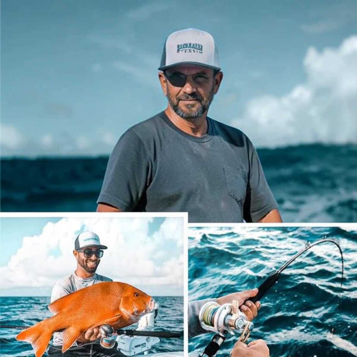 Shimano Terez Offshore Spinning Rods