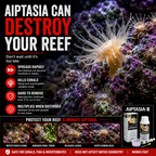 Red Sea Aiptasia-X 60ml Kit - R22231