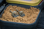 Matrix Interchangeable Pellet Feeders