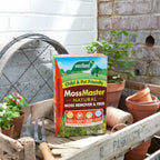 Westland Moss Master Lawn Feed & Moss Remover 80m² Natural Treatment