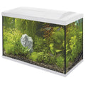 Superfish Start 70 Tropical Aquarium Kits (60L)